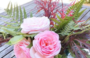 Les capucines la souris des champs - Foto 25