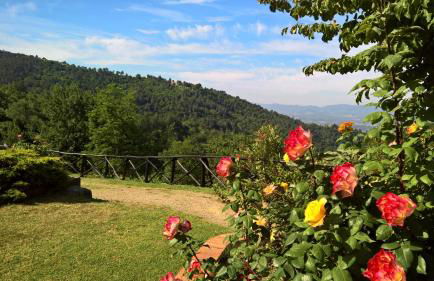 Residence Casa Lama - Foto 74