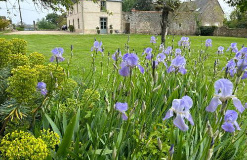 MANOIR DE CLERMONT - Foto 7