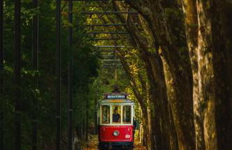 Sintra Dream Garden Villa - Foto 94