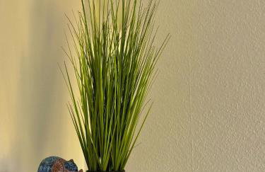 FEWOHOME Lothe Schieder Schwalenberg Schiedersee - Foto 67