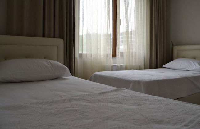 Canary Apart - Foto 5