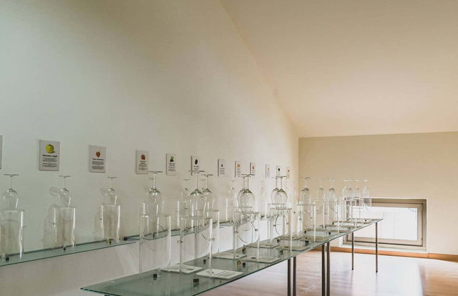 Visita a las bodegas Silvano García - Foto 8