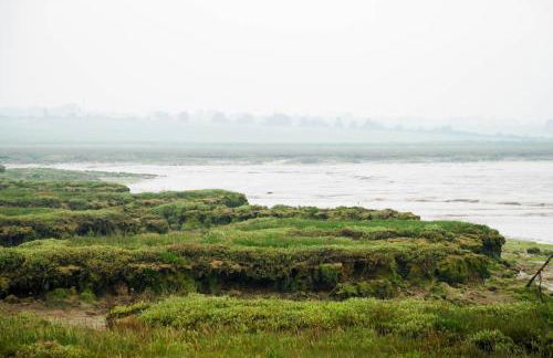 Bromans Barn a beautiful cottage by the Sea and Cudmore Nature Reserve - Foto 18