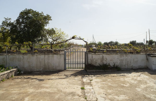 Trullo Pinto - Foto 67