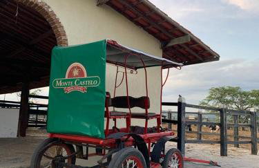 Monte Castelo Gravatá - Foto 52