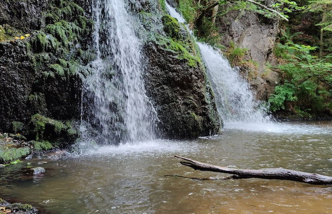 Pleasant Point Holiday Cottages - Foto 128