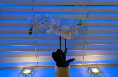 Elkstone House, Hot tub Luxury, Comfortable Home - Foto 30