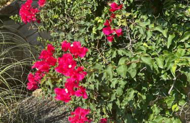 Villa Anna- Calonge, Costa Brava - Foto 20