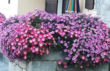 Appartamento Panorama Bormio - Photo 21