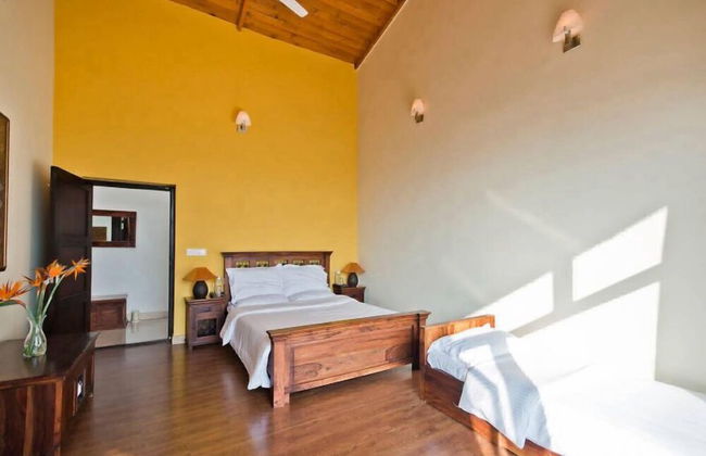 Tree of Life Junoon in The Hills - Foto 19