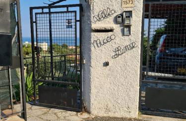 Appartement villa toit terrasse - Foto 57