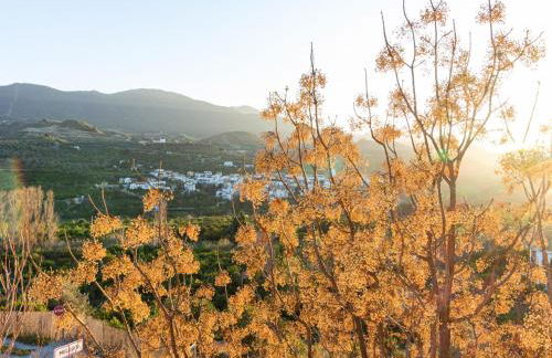 Casa perla del valle - Foto 14