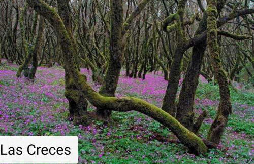 Casa Maria - Foto 38