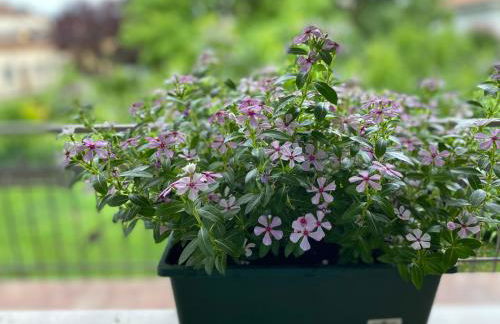 Residenza 38 - Foto 5