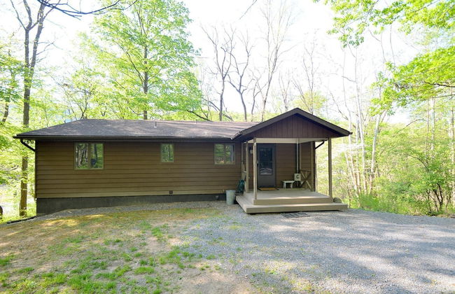 Chesnutt Cabin on the Cacapon River - Foto 44
