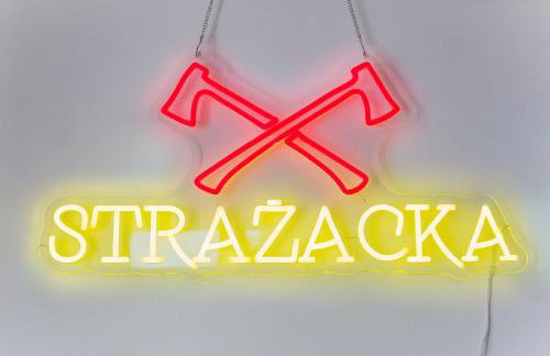 Loft Barnim w wieży strażackiej, 2-poziomowy, 100m2, taras na dachu - Foto 47