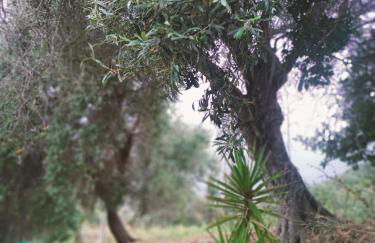 A Ca du Giaba - Foto 6