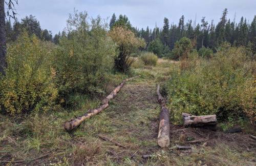 Wild Woods - Cascades Riverside Retreat - Foto 18