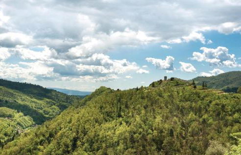 Two-Bedroom Apartment In Sorana Pescia Pt - Foto 19