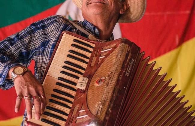 Tour en jardineira por Linha Ávila - Foto 12