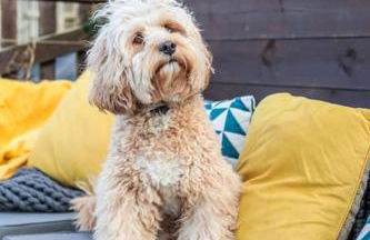 Beach Lovers Paradise in Portreath - With Sea Views & Log Burner just 100m from beach - Photo 29