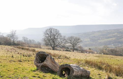 White Haywood Farmhouse - Photo 42