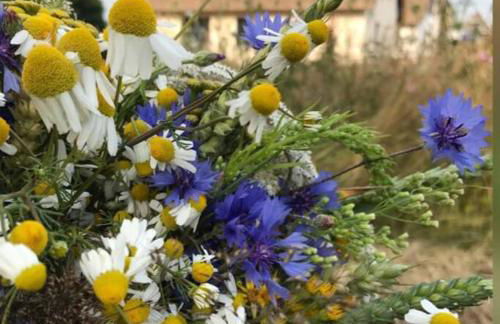 Stilvolles Reetdachhaus Coastline an der Ostsee - Foto 35