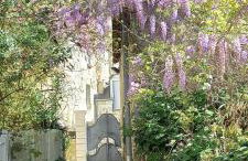 La troglo aux oiseaux - Foto 27