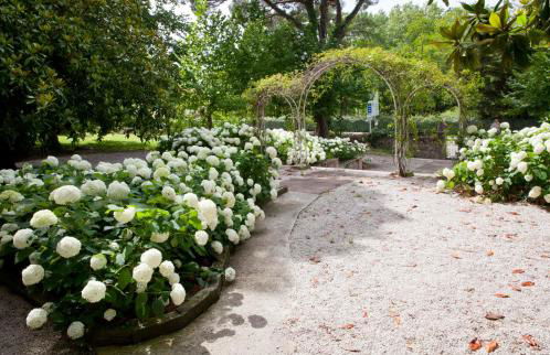 Posada Rolisas - Foto 8