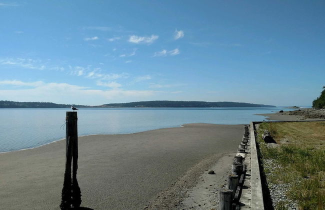 Harborview Getaway by Avantstay Walk to Beach - Photo 39