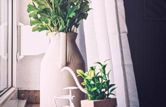 Modern & gepflegt, Süd-Terrasse, Parkplatz, Nähe DUS - Photo 32