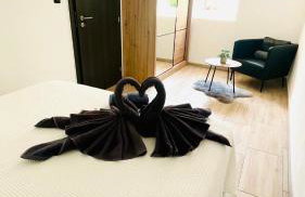 Modern Apartment with Fireplace & Stylish Kitchen - Photo 10