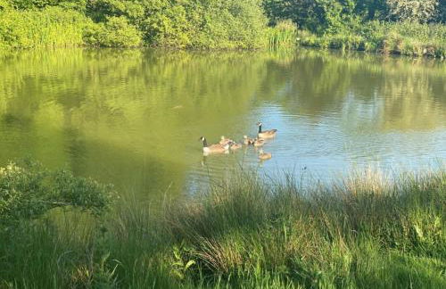 Hot Tub Retreat - Otium Wine Estate - Foto 9