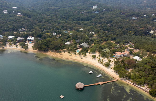 Tropical Breeze - Foto 11