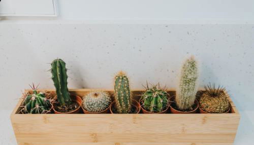 Céntrico estudio junto al Parque García Sanabria - Foto 5