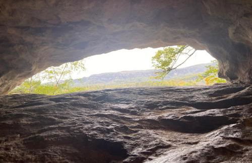 Ferienwohnungen Nimtz - Foto 25