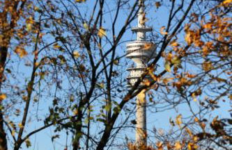 Business Suiten - Foto 11