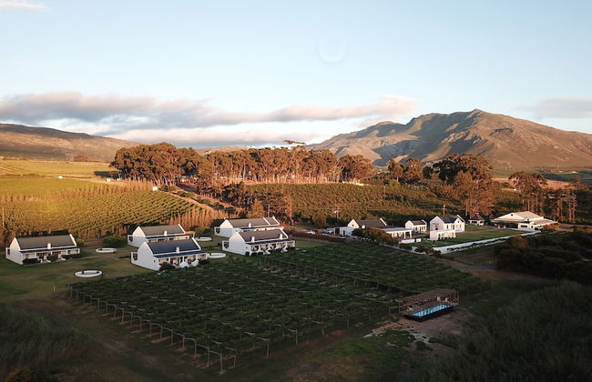 Endless Vineyards at Wildekrans Wine Estate - Photo 1