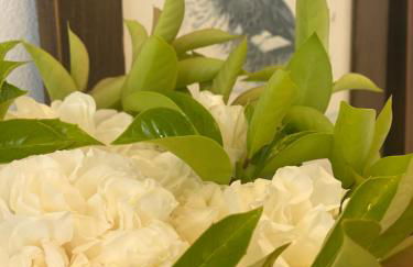 Green House in campagna - Foto 17