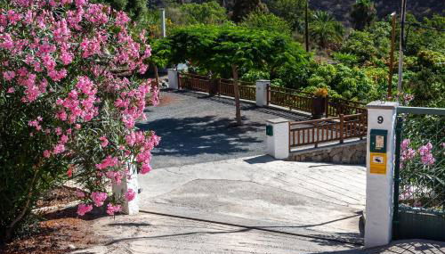 Finca el Moral - Foto 4