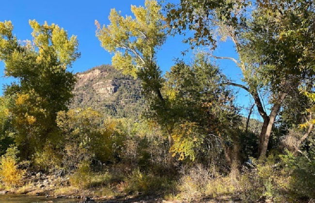 Beautiful Rental Just North of Durango - Foto 32