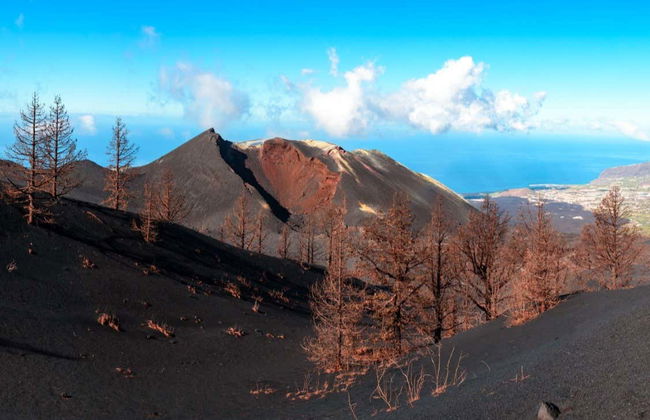 Tajogaite Volcano Day Trip - Photo 5