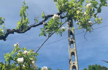 Casa Vacanze Gli Allori - Photo 9