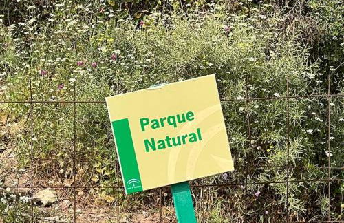 Apartamento con vistas a Africa y al mar - Foto 3