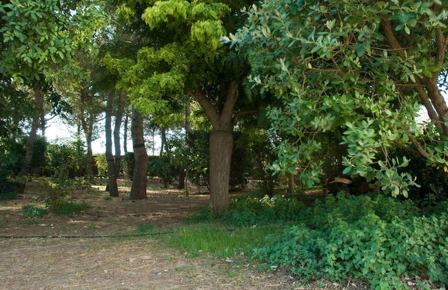 Azienda Agricola Francesca Stajano - Foto 77