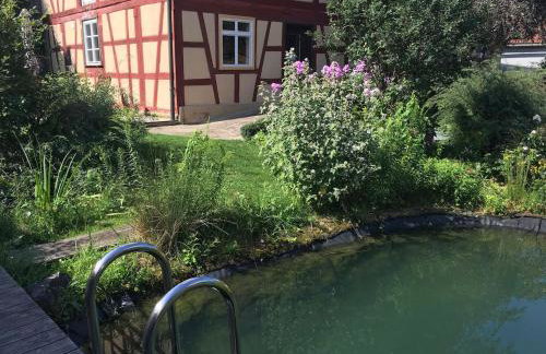 Haselbachstraße 6 - Foto 6