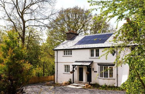 Lily of the Valley - Foto 1