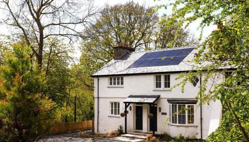 Lily of the Valley - Foto 1, Other