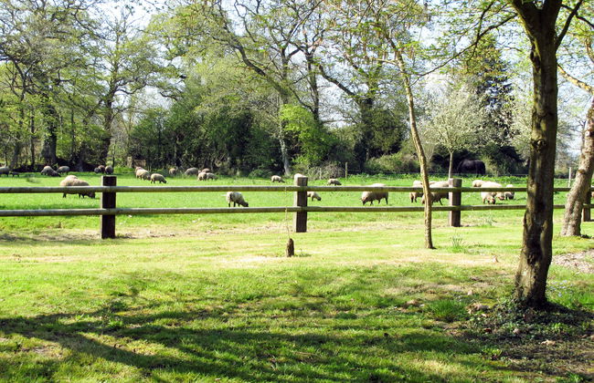 La Bergerie - Foto 9